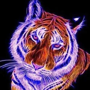 Meet your Posher, Bobbie